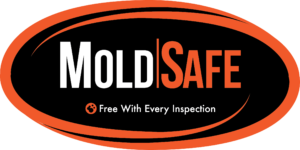 MoldSafe-inspection
