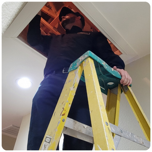 Men conducting home inspection in the attic, standing on a ladder for a detailed examination